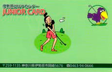 Junior Card